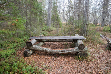 The old camp of tourists in the forest. Old wooden table and bench. Russian forest.
