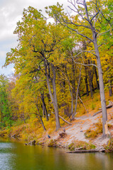 Picturesque autumn park overlooking the pond