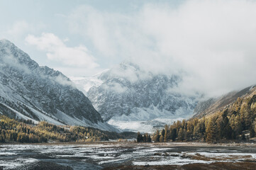  Mountain valley view. Snow covered peaks and yellow larch trees.