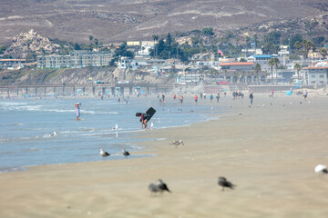 Pismo Beach California with Seabirds and People Enjoying the Surf