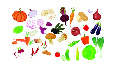 illustration of a set of vegetables