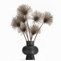 3d illustration decorative Bouquet of dried flowers Cyperus in a vase with Lunaria on a white background