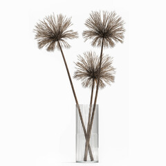 3d illustration decorative Bouquet of dried flowers Cyperus in a vase with Lunaria on a white background