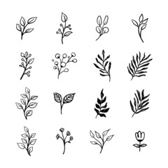 Fototapeta premium Hand drawn floral ornaments. Branches and leaves doodle collection. Decorative plants illustrations.