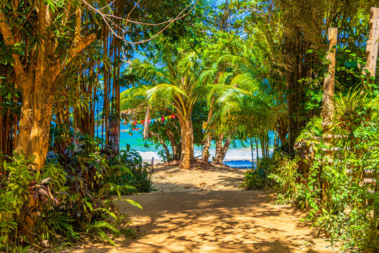 Tropical Paradise Aow Kwang Peeb Beach Koh Phayam island Thailand.