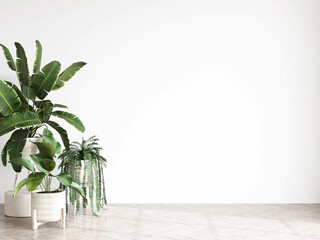 empty wall mockup with plant, minimalist interior mockup