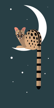 Lunar Genet