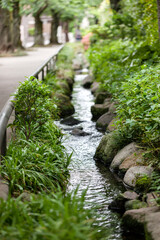 北沢川緑道(東京都世田谷区)