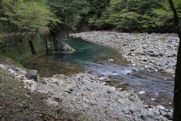 那賀町　南川林道