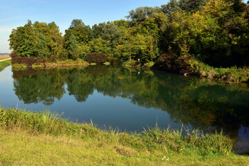 Fototapeta premium Rheinauen in Wyhl an einem sonnigen Herbsttag
