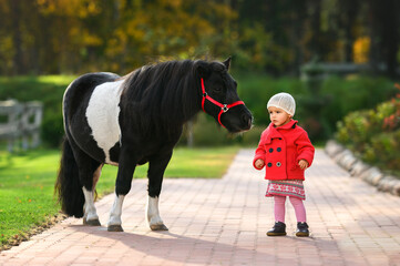 little girl portrait with a shetland pony outdoors