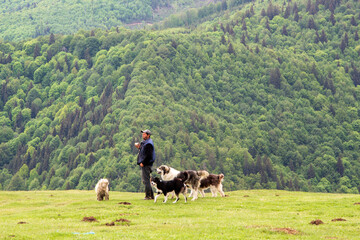 Village life in Romania