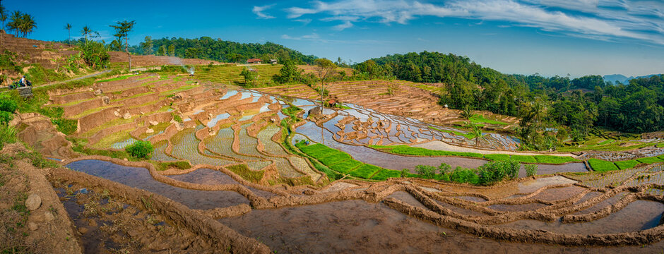 Sawah Nangklak late in the morning