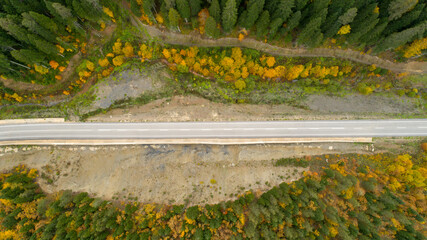 Aerial view of mountain road in beautiful forest at sunset in autumn. Top view from drone of winding road in woods. 