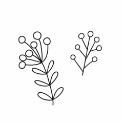 Christmas plant decorative branch with  leaves, berries for home decor, festive holiday arrangement, vector illustration for seasonal greeting card, invitation, banner