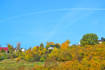 Fototapeta premium Autumn Rustic landscape under a bright blue sky