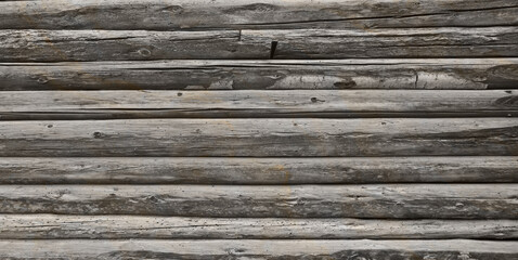 Obraz premium Old woods