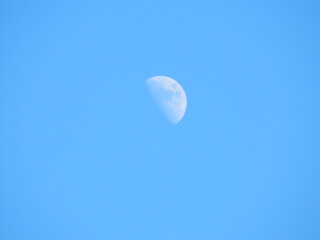 moon in the sky