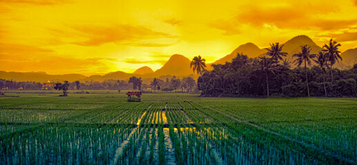 Rajagaluh hills sunrise