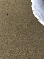 Fototapeta na wymiar Summer beach sand wave wallpaper 