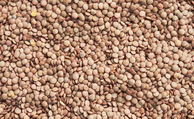 Beautiful lentils image