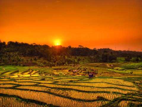 Sawah Nangklak