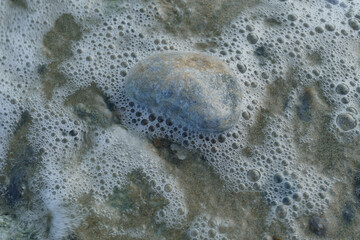 Tropical beach textures - natural shapes, water, sand, rocks, flowing, bubbles, colors, shapes, patterns, nature, environment