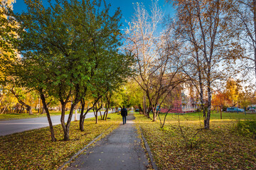 Autumn city landscape. The city of Berdsk, Siberia