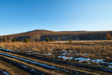 A field that turns into a hilly forest