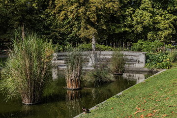 Fototapeta na wymiar Public Paris garden: Tuileries Park. Catherine de Medici created Garden in 1564. Paris, France.
