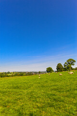 Nieder-Moos / Freiensteinau-Hessen