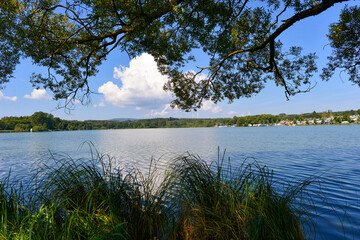 Nieder-Mooser Teich bei Nieder-Moos