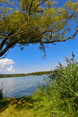 Nieder-Mooser Teich bei Nieder-Moos