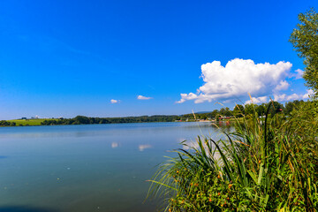 Nieder-Mooser Teich bei Nieder-Moos