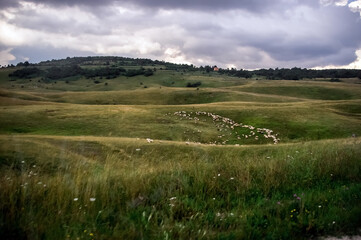 Zielona polana stok z pasterzem wypasającym owce z górami na horyzoncie