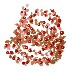 Watercolour floral illustration set. DIY flower, green leaves elements collection - for bouquets, wreaths, arrangements, wedding invitations, anniversary, birthday, postcards, greetings, cards, logo.