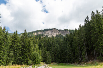 View to a mountain with forest and clouds on blue sky