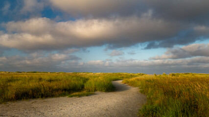 Path to the beach through sand dunes with sea oath grass in rising sun soft light. schiermonnikoog...