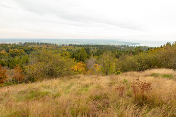 Autumn landscape in Omberg Sweden a windy day 