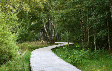 Schwarze Moor in der Rhön am Dreiländereck