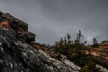 Bayrischer Wald Großer Arber