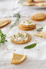 Cracker with chickpea flour, vegan cheese and various seeds. Vegan recipe-1