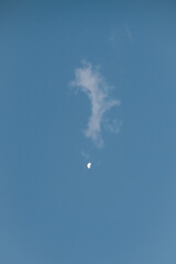 Luna de día