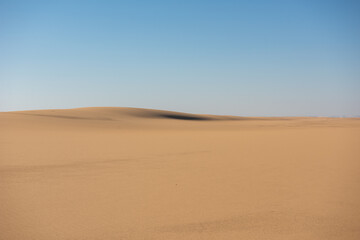 Plakat Desert Dunes and Beauty