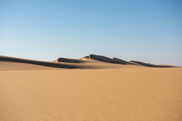 Fototapeta na wymiar Desert Dunes and Beauty