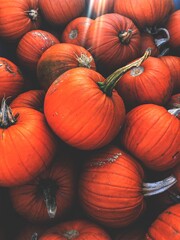Full frame food background of pile of pumpkins in darkness with added contrast