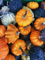 Full frame background of various pumpkins and gourds