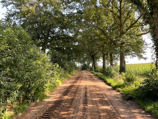 Sand road around Dortherhoek in Gelderland