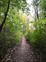 Herbst in Nordhausen An der Gumpe