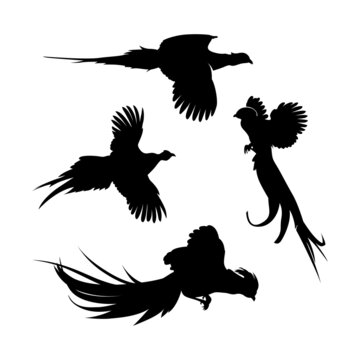 Flying Pheasant Silhouette Set Design Inspiration